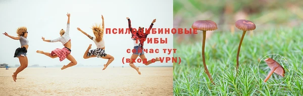дурь Лиски