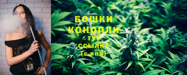 дурь Лиски