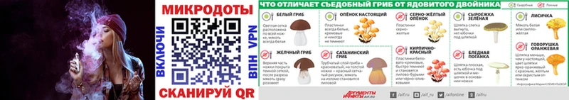 MEGA зеркало Маркс Псилоцибиновые грибы Psilocybe