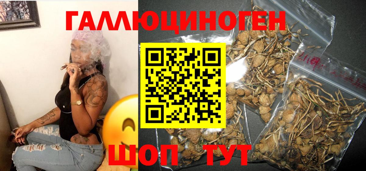 Маркс  Псилоцибиновые грибы Magic Shrooms  Псилоцибиновые грибы мухоморы  Вход с VPN 