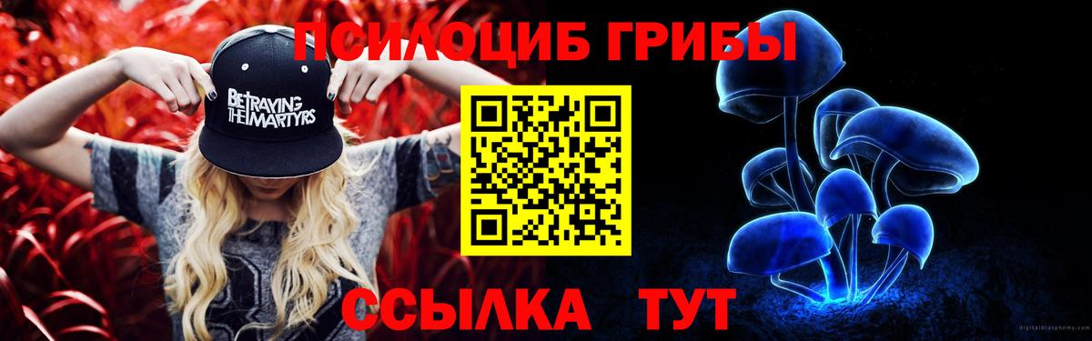 Псилоцибиновые грибы GOLDEN TEACHER Маркс